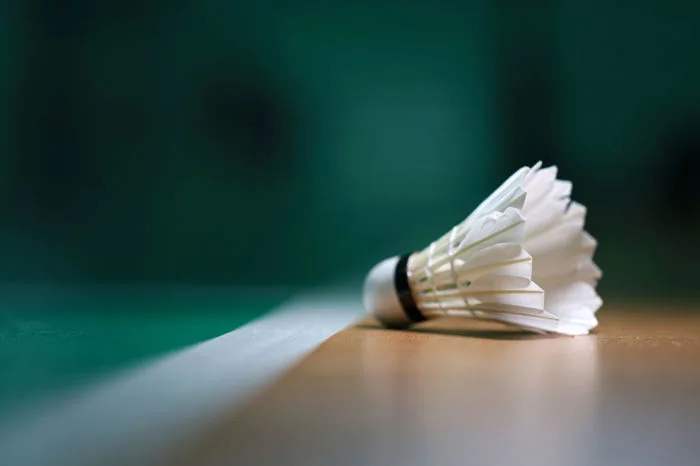 200+ Badminton & ảnh Cầu Lông miễn phí - Pixabay