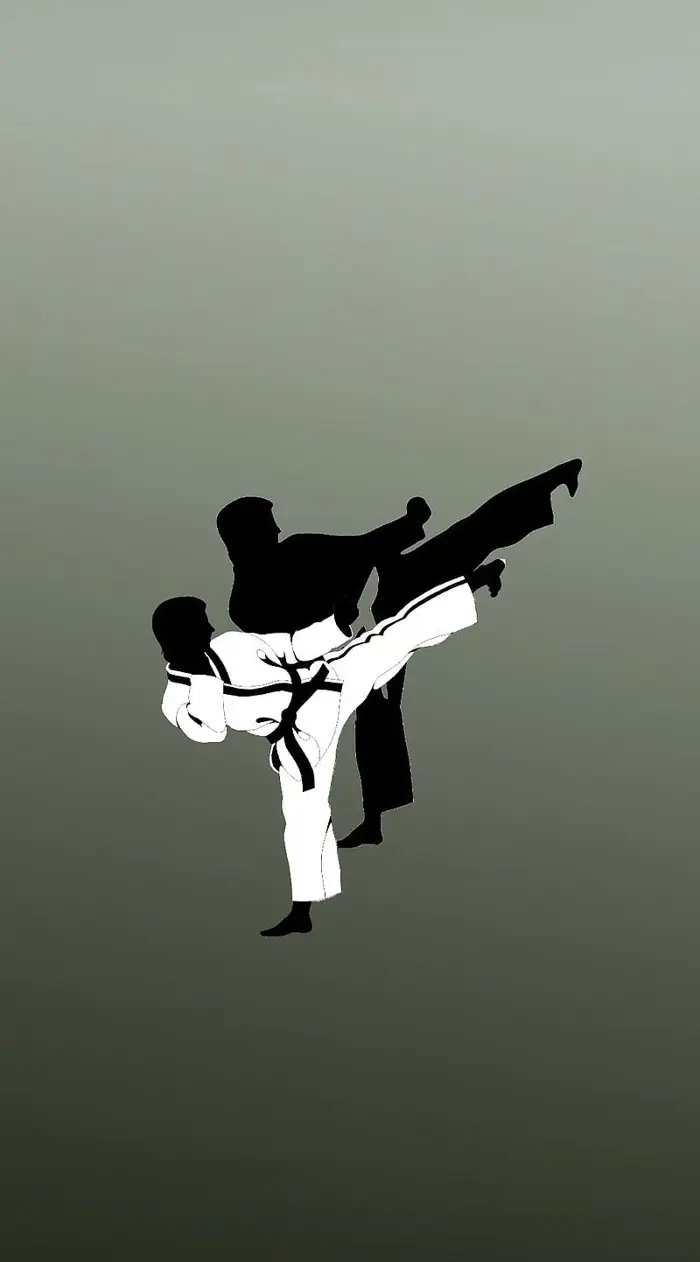 Tổng hợp 50 ảnh background taekwondo đẹp chất lượng cao