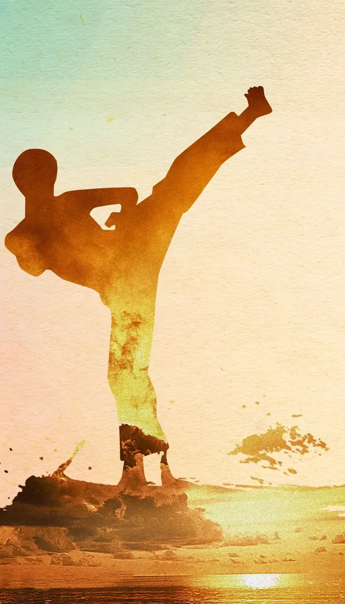 Tổng hợp 50 ảnh background taekwondo đẹp chất lượng cao