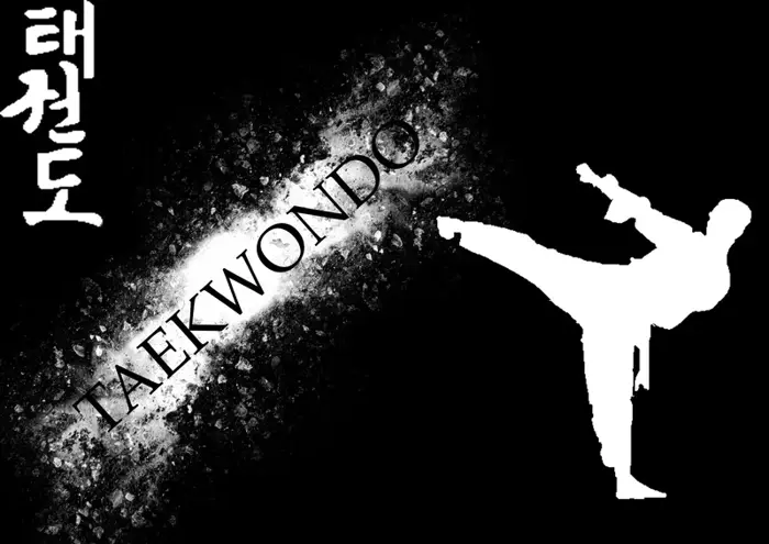 Tổng hợp 50 ảnh background taekwondo đẹp chất lượng cao