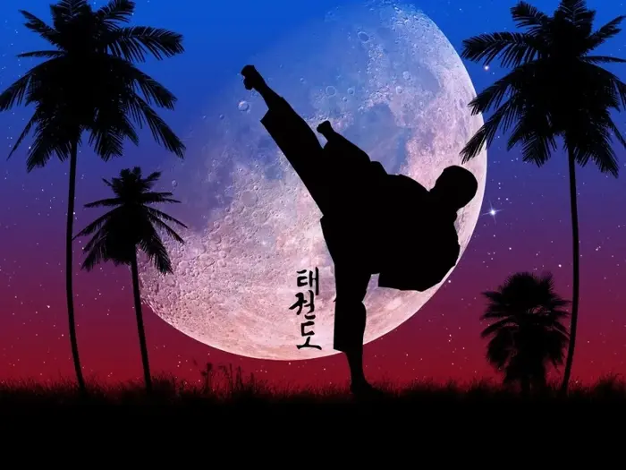 Tổng hợp 50 ảnh background taekwondo đẹp chất lượng cao