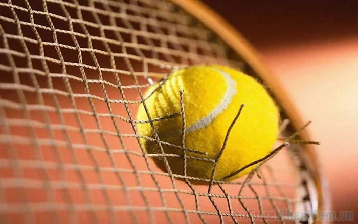 Hình nền Tennis đẹp nhất
