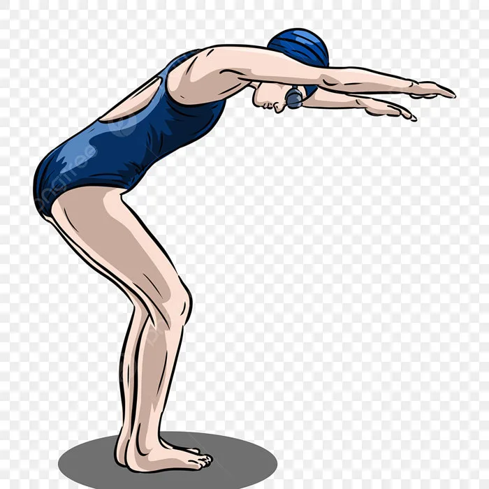 Hình ảnh Lặn Bơi Lội Thể Thao Thi đấu Thế Vận Hội Olympic Hồ Bơi Bên Bờ  Biển Minh Họa Vector PNG , Bơi, Mùa Hè, Vòng Bơi PNG miễn phí tải