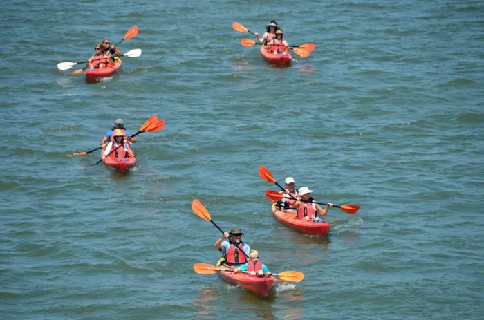Hình ảnh miễn phí: nước, thuyền, thể thao, cạnh tranh, watercraft, chủng  tộc, oar, chèo thuyền, biển, xe, đi canoe