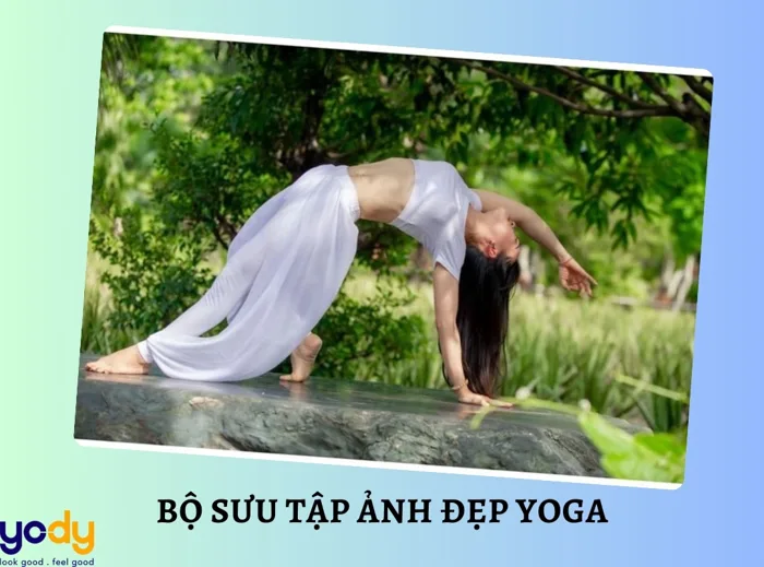 50+ Bộ sưu tập ảnh đẹp yoga, các tư thế yoga chụp ảnh đẹp nhất | Yody