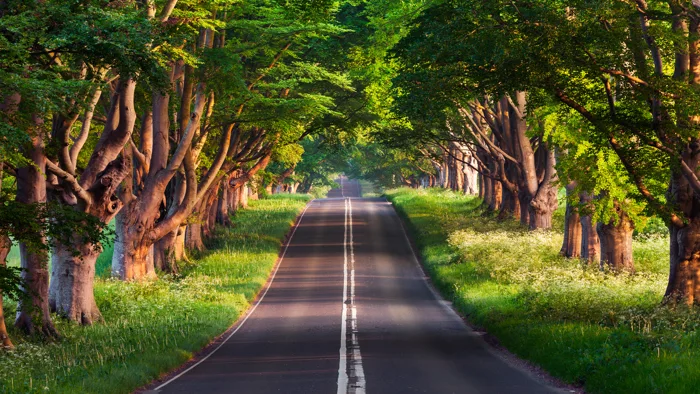 Hình nền thiên nhiên, phong cảnh đẹp