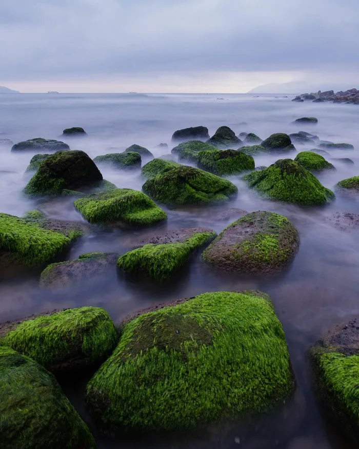 60000+ Beach Background & ảnh Thiên Nhiên miễn phí - Pixabay