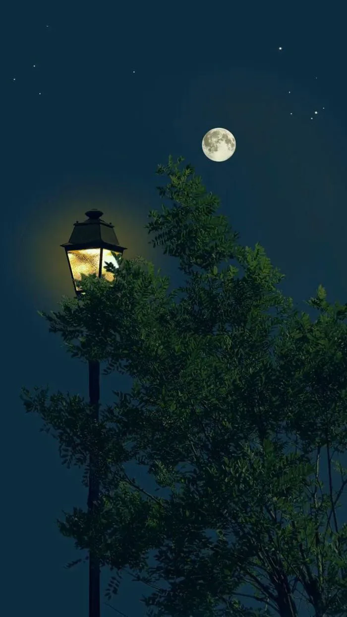 Moonlit Landscape with Lamp Post and Trees | Sky photography nature,  Amazing nature photography, Night scenery