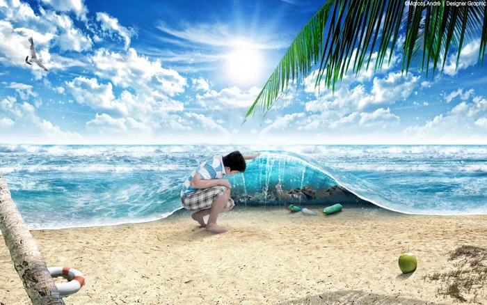 hình ảnh : bờ biển, phong cảnh, thiên nhiên, rừng, cát, đại dương, Ánh sáng  mặt trời, Lá, làn sóng, Thân cây, kỳ nghỉ, màu xanh lá, nguồn gốc, gỗ, sắc  đẹp,