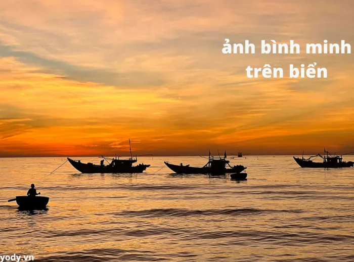 999+ hình ảnh bình minh trên biển đẹp và chill | Yody