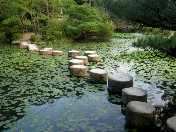 hình ảnh : phong cảnh, thiên nhiên, hoa, Hồ, con sông, Yên bình, suối, màu  xanh lá, cân đối, bình yên, Hòa bình, điềm tĩnh, nhanh, Nhà Phật, Phật  giáo, nghỉ ngơi,