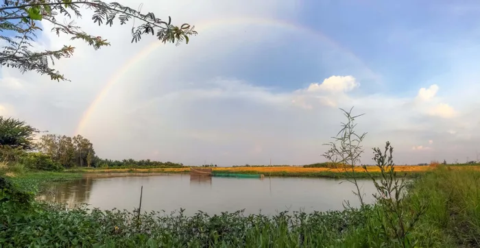 Những hình ảnh bình yên, tuyệt đẹp ở vùng biên giới Tây Nam đầy nắng - Báo  Người Lao Động