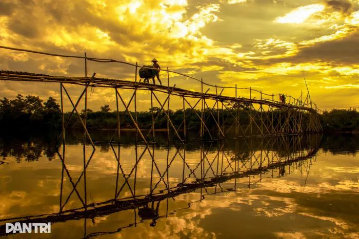 Cầu tre duy nhất còn lại ở Quảng Nam, khách nước ngoài thích thú chụp ảnh |  Báo Dân trí