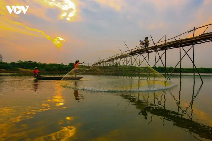 Nét đẹp bình yên bên cây cầu tre thôn Cẩm Đồng