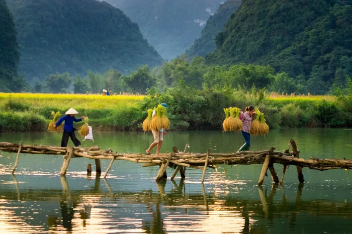Những cây cầu tre ở Trùng Khánh
