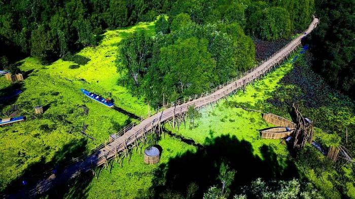 Mê mẫn cây cầu tre xuyên rừng tràm đẹp nhất Việt Nam | Báo Dân trí