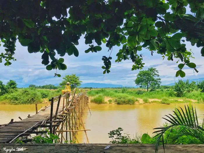Về xứ Quảng chiêm ngưỡng vẻ đẹp hoang sơ, mộc mạc của cầu tre Cẩm Đồng thấm  đẫm nghĩa tình