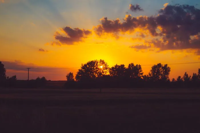 Hình ảnh miễn phí: Chạng vạng, hoàng hôn, đèn nền, Hùng vĩ, hình bóng, lúa  mì, Wheatfield, cây, Bình minh, ngôi sao