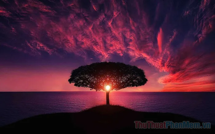 Hình ảnh chiều tà đẹp