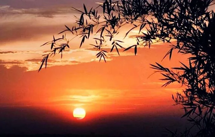 Hình ảnh chiều tà đẹp