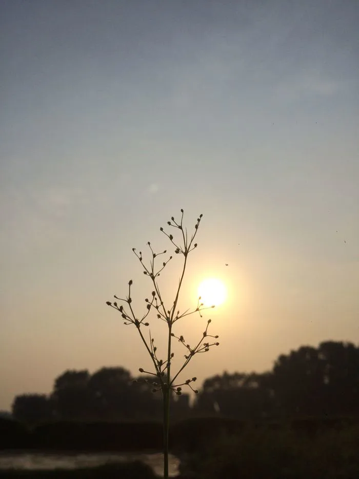 Hình ảnh chiều tà đẹp