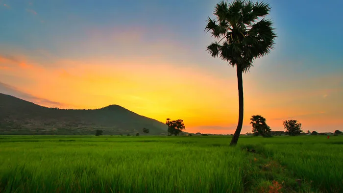 Hình ảnh phong cảnh chill tuyệt đẹp