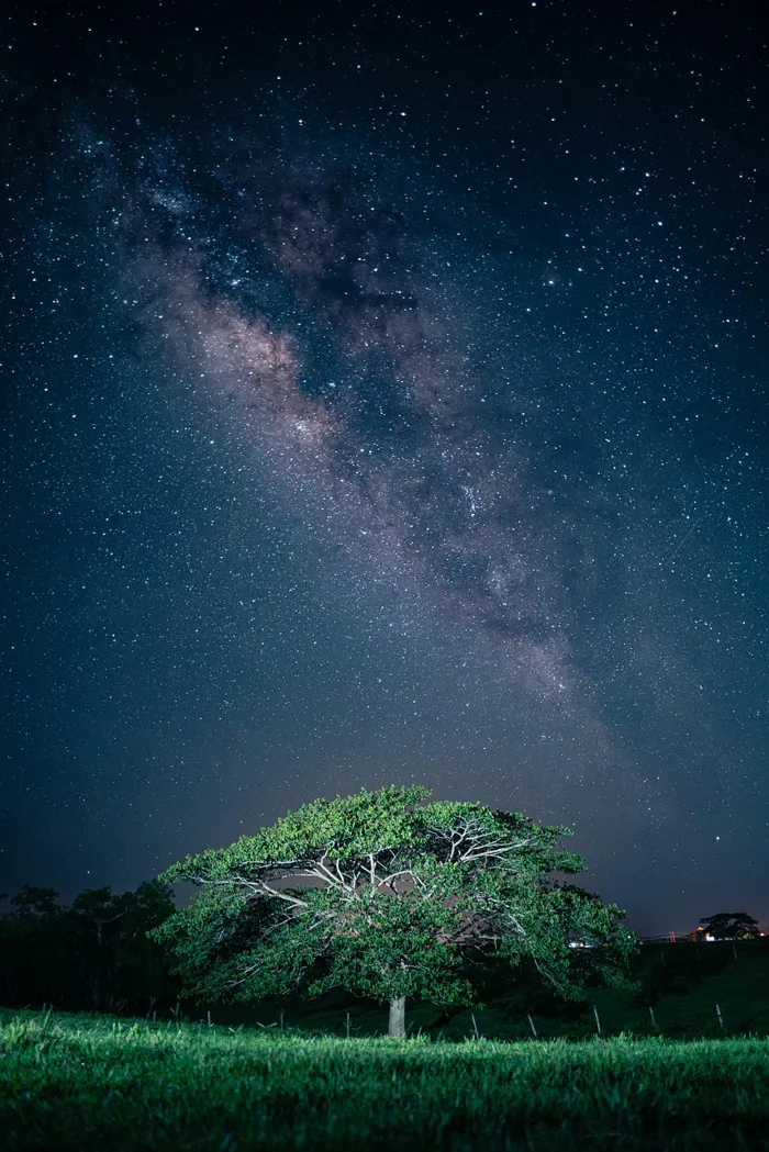 50000+ Iphone Wallpaper & ảnh Thiên Nhiên miễn phí - Pixabay
