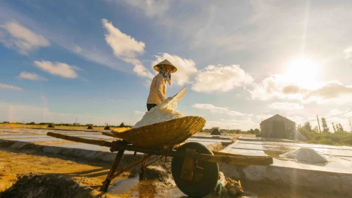Traveleverywhere | Về miền biển Nam Định thăm đồng muối Bạch Long