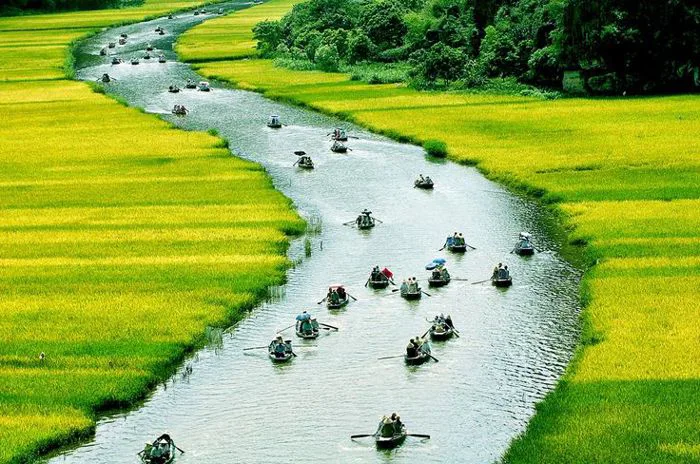 Hình ảnh dòng sông với những con thuyền dường như đã gắn liền với tuổi thơ  của rất nhiều người. Êm đềm hiền hòa như vỗ nuôi dưỡng những người con khôn