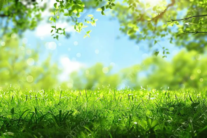 Hình nền Phong Cảnh Thiên Nhiên Cỏ Xanh Tươi Mát Mùa Xuân Hè ảnh Nền, Xinh  đẹp, Cỏ, Phong Cảnh Background Vector để tải xuống miễn phí - Pngtree