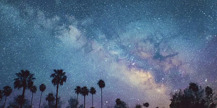 Hình nền Nền Thiên Hà Milky Way Các Ngôi Sao Và Cây Cọ Trên Bầu Trời đêm, Dải  Ngân Hà, Thiên Hà, Các Ngôi Sao Background Vector để tải xuống miễn phí -