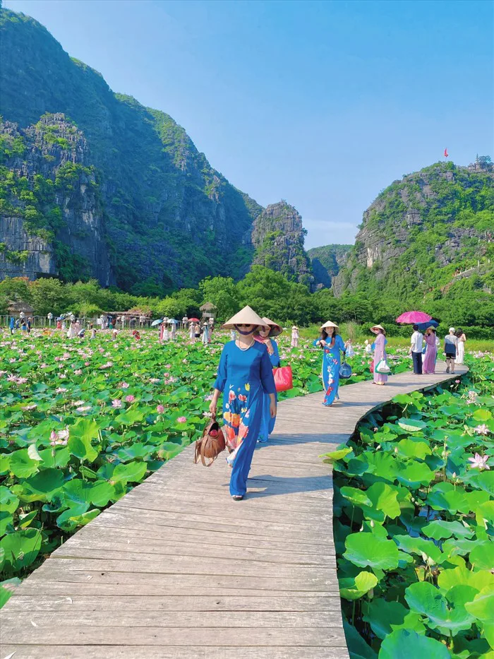 Kinh nghiệm chụp ảnh đẹp ở đầm sen Hang Múa, Ninh Bình ngày nắng nóng