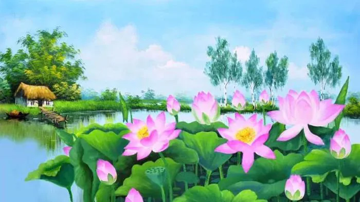 Hình nền hoa sen: Tổng hợp các hình nền đẹp, chất lượng cao