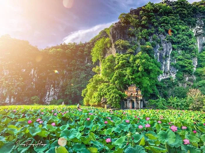 Những hình ảnh tuyệt đẹp về đầm sen