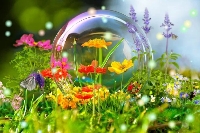 Tạo không gian làm việc xanh mát, tăng năng suất với bộ sưu tập ảnh thiên  nhiên 3D siêu đẹp