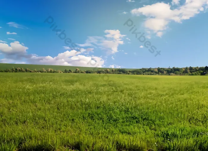 Tải miễn phí Một đồng Cỏ Rộng Lớn ở Phía Sau Là Khái Niệm Hình ảnh Thiên  Nhiên Bầu Trời Nhiếp Ảnh | JPG chuyên nghiệp - Pikbest