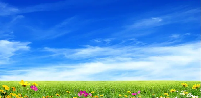 59 Phong cảnh thiên nhiên cánh đồng cỏ xanh - Pdcorel.com