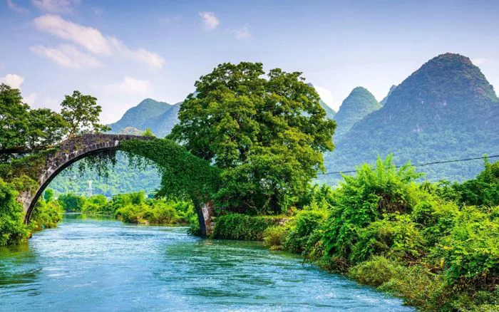 350+ Hình Nền Máy Tính 4K, Full HD đa Dạng, Miễn Phí, đẹp Nhất 2025