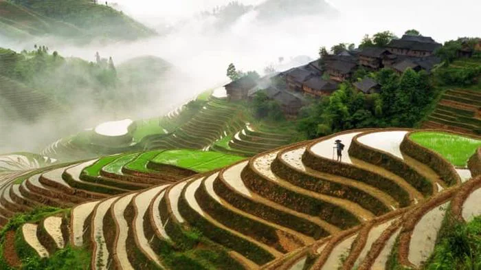 Những bức ảnh có thể giúp bạn thư giãn trong cơn căng thẳng | Báo Dân trí