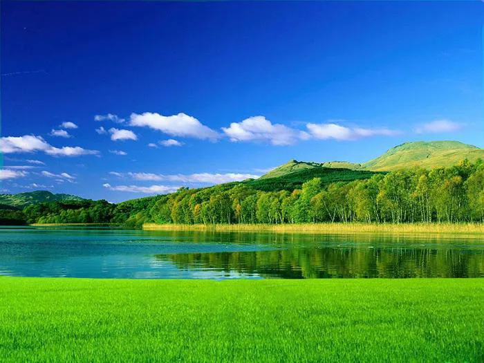Giải tỏa căng thẳng bằng... hình ảnh