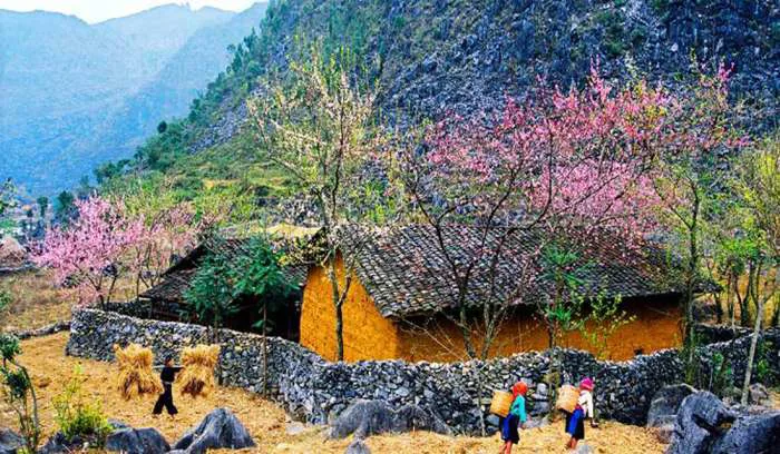 hinh-nen-thien-nhien-ha-giang-1