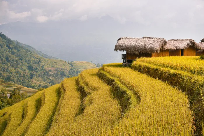 40000+ Hà Giang & ảnh Giáng Sinh miễn phí - Pixabay