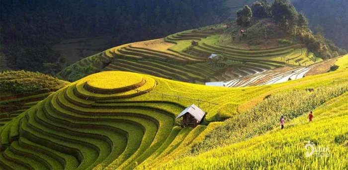 Khám phá vẻ đẹp 4 mùa hoa của Hà Giang