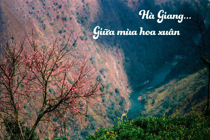Du lịch Hà Giang mùa nào đẹp nhất trong năm
