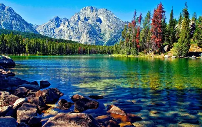 50+ ảnh background hồ nước chất lượng cao không thể bỏ qua