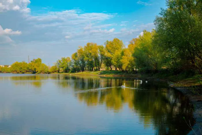 Hình ảnh miễn phí: thiên nhiên, hồ nước, bờ hồ, cảnh quan, Thiên Nga, thời  gian mùa hè, Hùng vĩ, bầu trời xanh, vườn quốc gia, thôn dã
