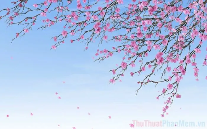 Khám phá vẻ đẹp tinh tế của Nhật Bản qua những hình nền độc đáo, mang đậm  dấu ấn văn hóa và thiên nhiên của đất nước mặt trời mọc.