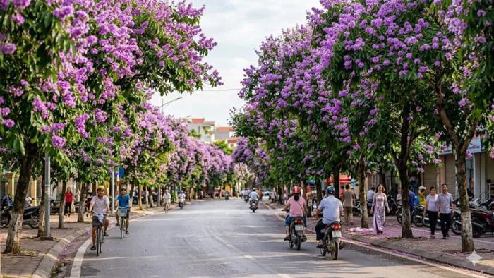 Tổng hợp 40+ hình nền hoa bằng lăng đẹp chất lượng Tổng hợp 40+ hình nền hoa bằng lăng đẹp chất lượng