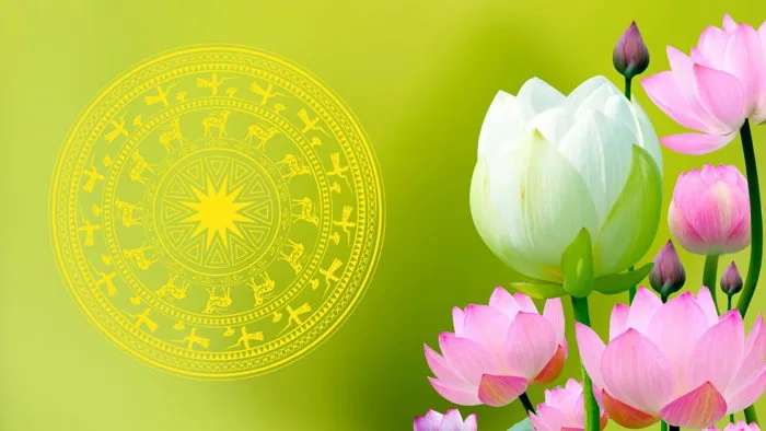 Tải 20+ mẫu background hình nền hoa sen dạng vector định dạng AI, EPS, CDR,  SVG và PNG chuẩn sắc nét - Inviva.vn