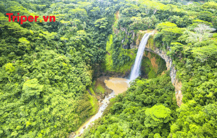 Tour Mauritius - Madagascar 10N9Đ Trải nghiệm thiên nhiên hoang sơ